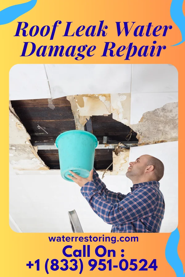 Roof Leak Water Damage Repair in Oldham, SD