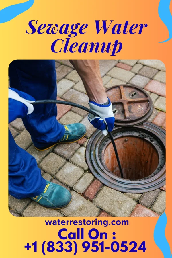 Sewage Water Cleanup in Oldham, SD